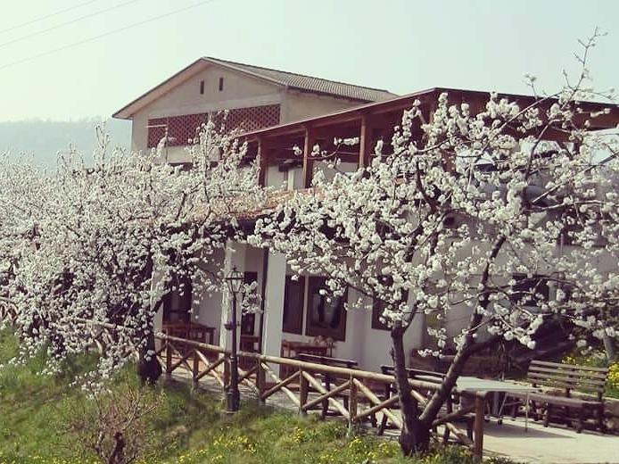 Agriturismo Al Ciliegio Villa Marostica Kültér fotó